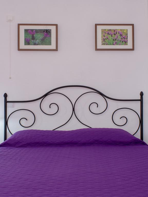 Hostal Quinta Da Fonte Do Lugar Vera Cruz de Marmelar Habitación foto